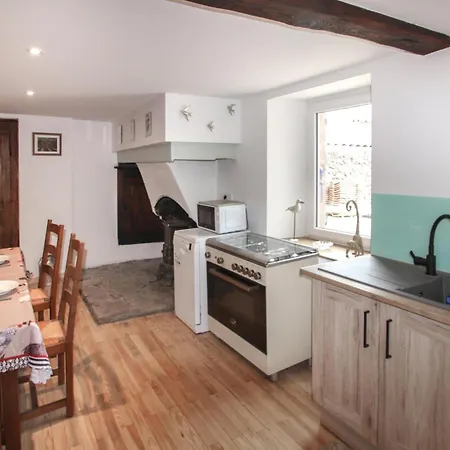 Amazing In Saint-alban-d'ay With Wifi Feriehus